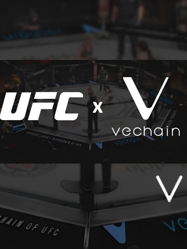 UFC Fighters to Use VeChain Gloves